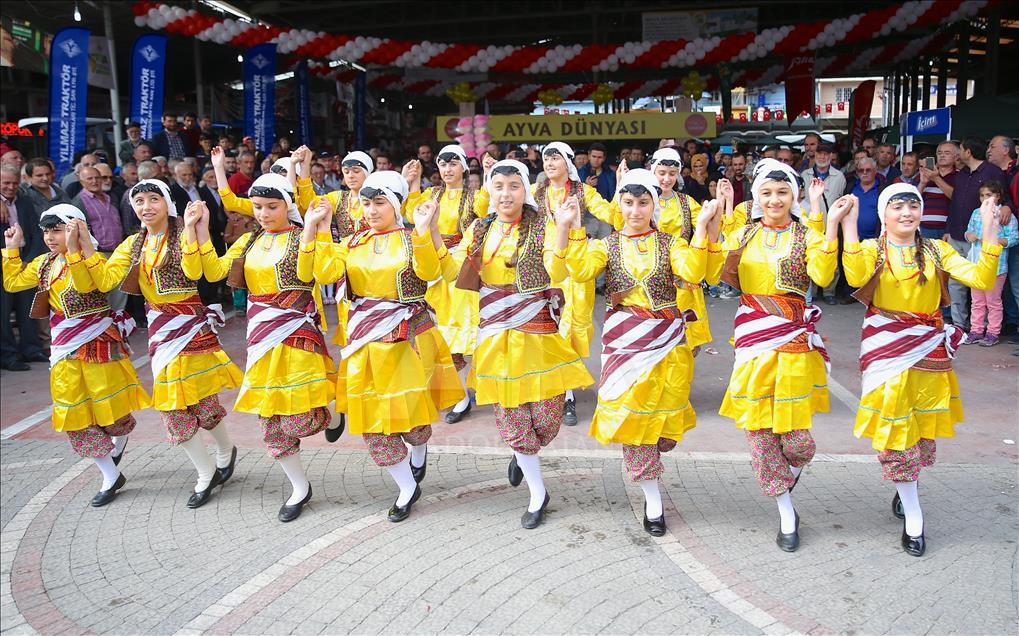 "Geyve Ayva Festivali" başladı