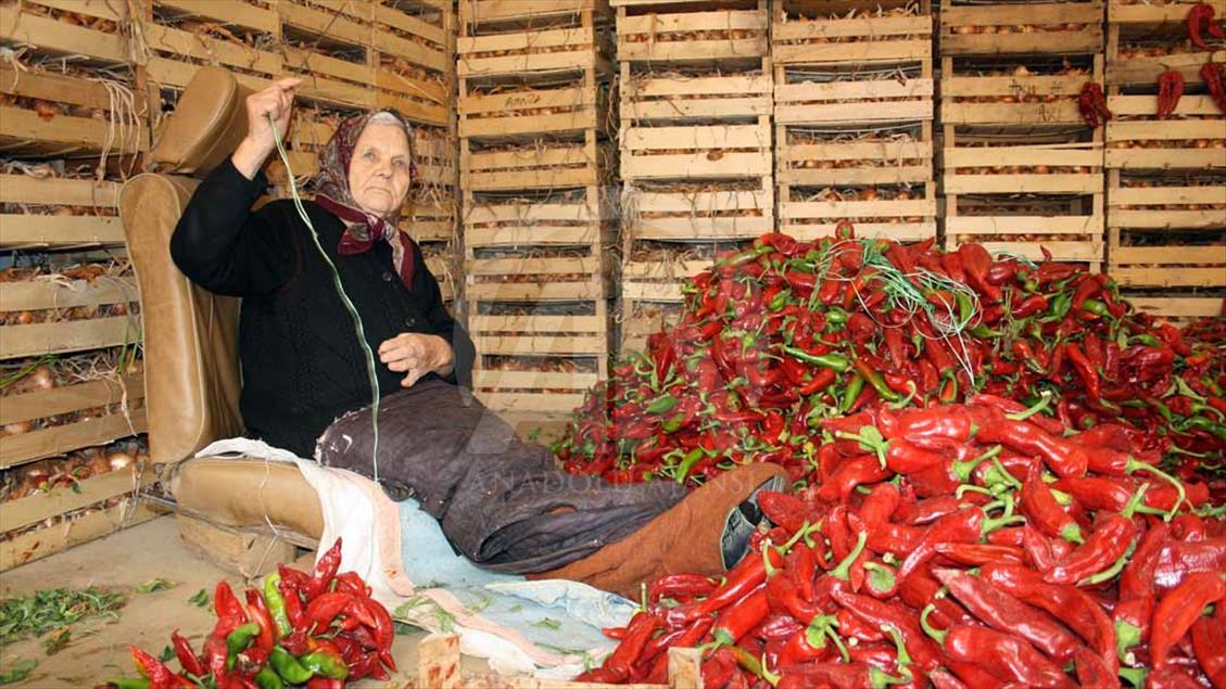 Los cultivos de páprika en Serbia
