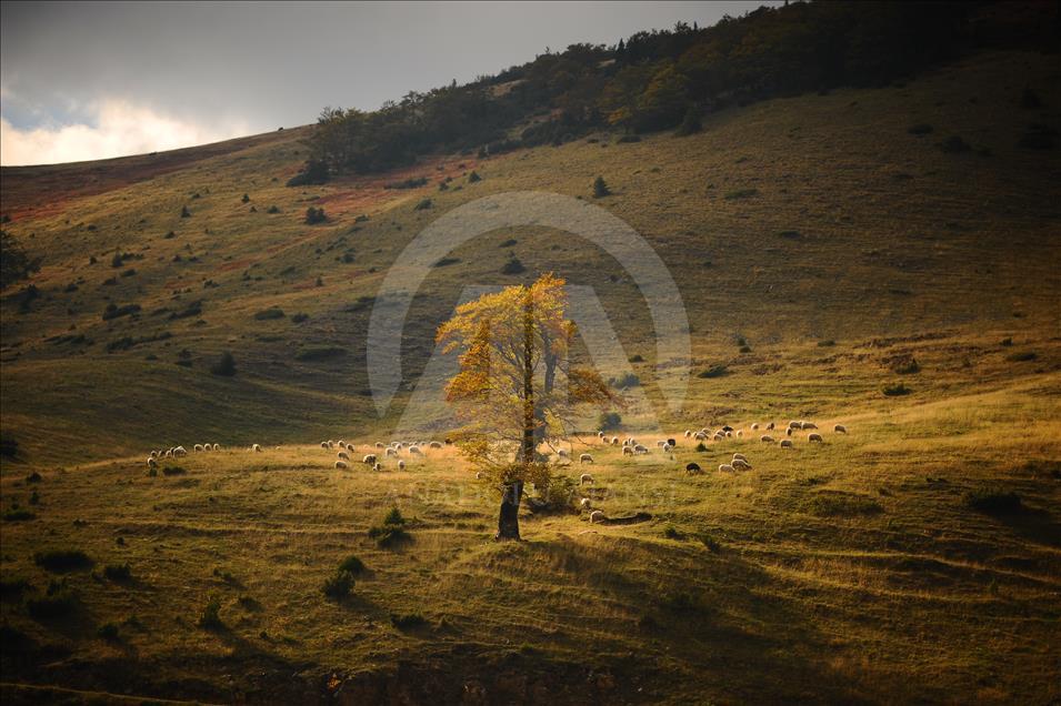 Colors of autumn in Bosnia and Herzegovina