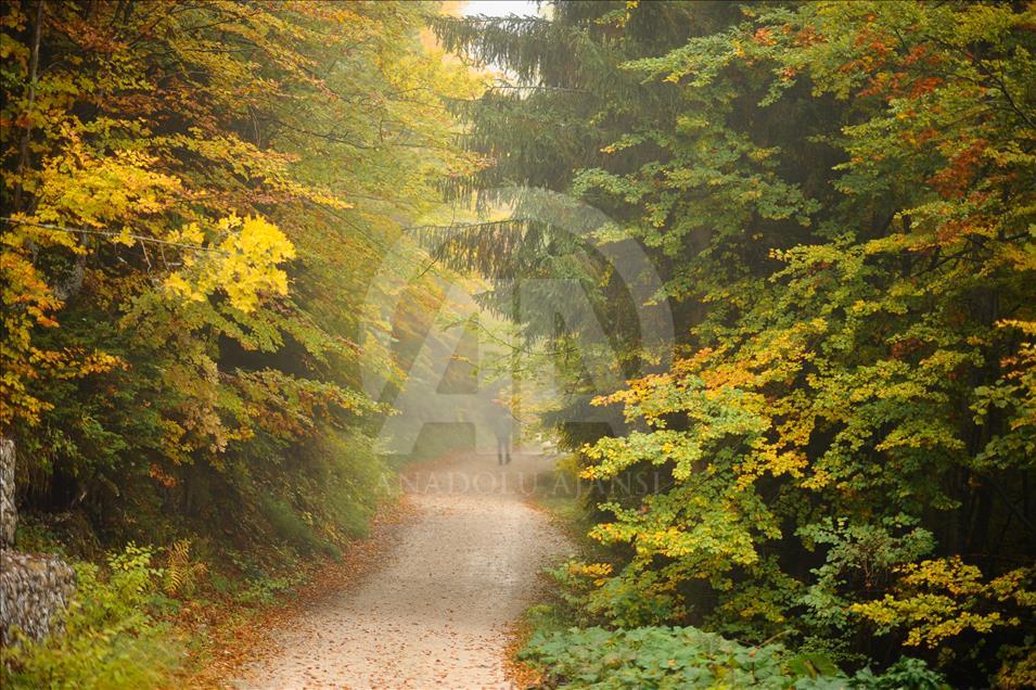 Colors of autumn in Bosnia and Herzegovina
