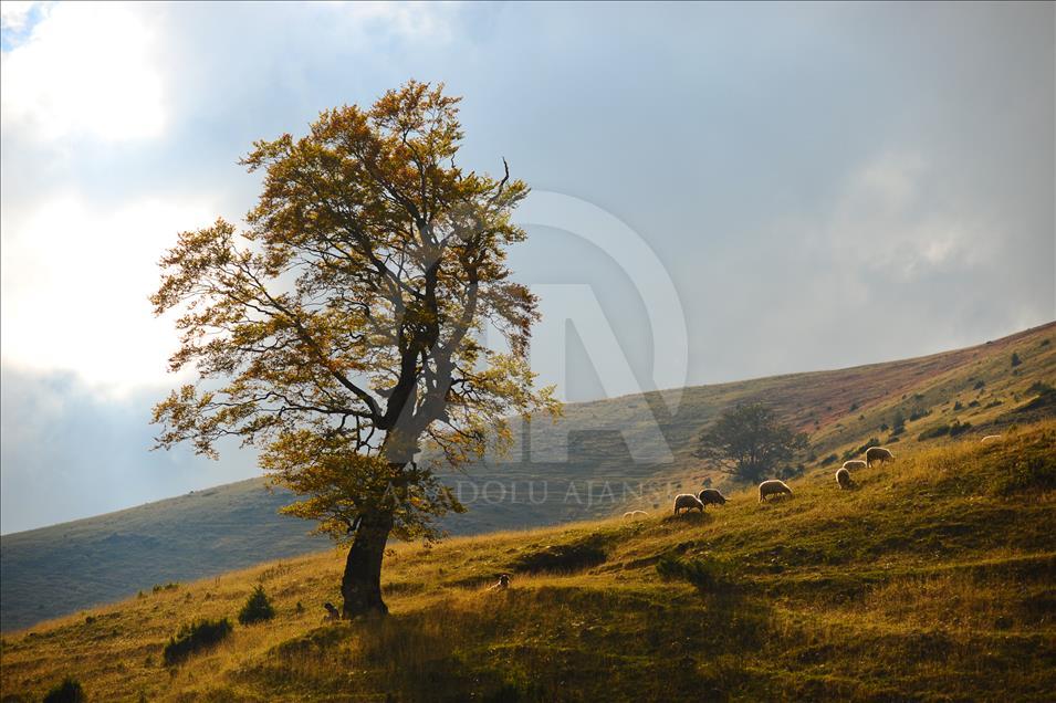 Colors of autumn in Bosnia and Herzegovina