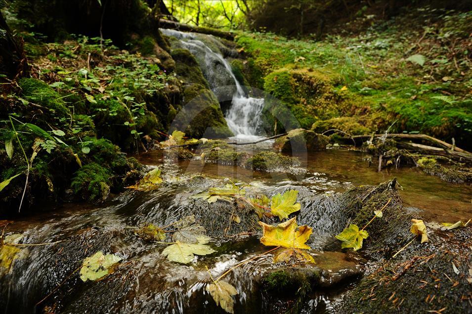 Colors of autumn in Bosnia and Herzegovina