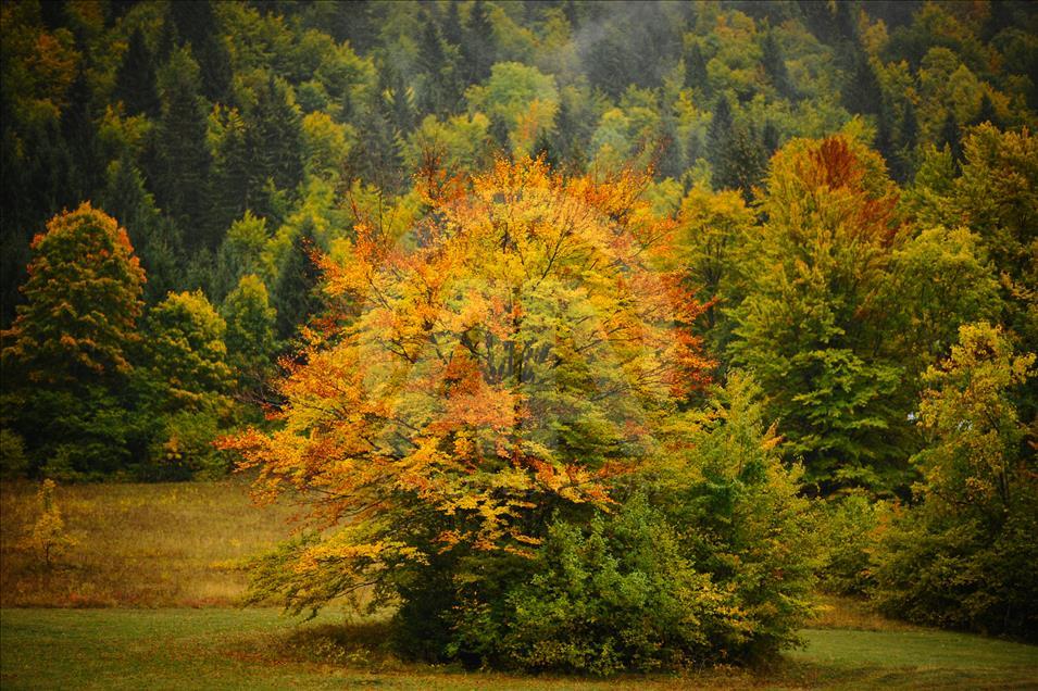 Colors of autumn in Bosnia and Herzegovina
