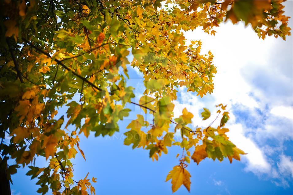 Colors of autumn in Bosnia and Herzegovina