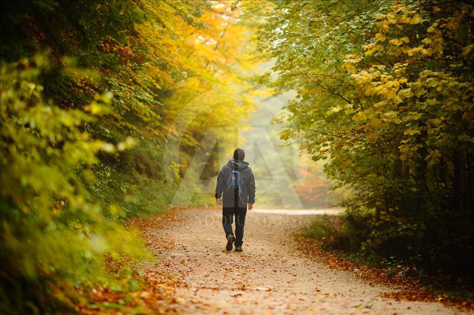 Colors of autumn in Bosnia and Herzegovina - Anadolu Ajansı