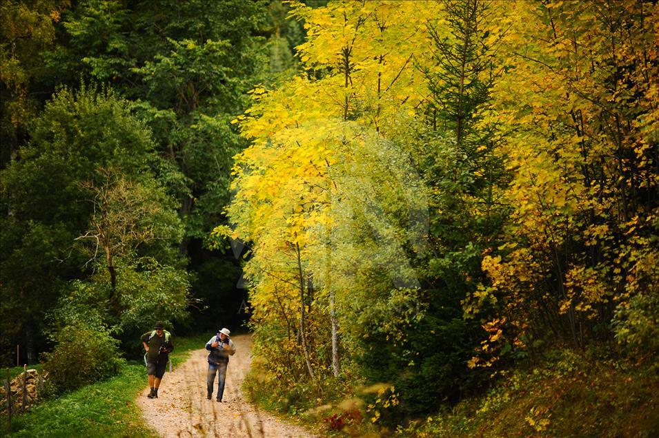 Colors of autumn in Bosnia and Herzegovina