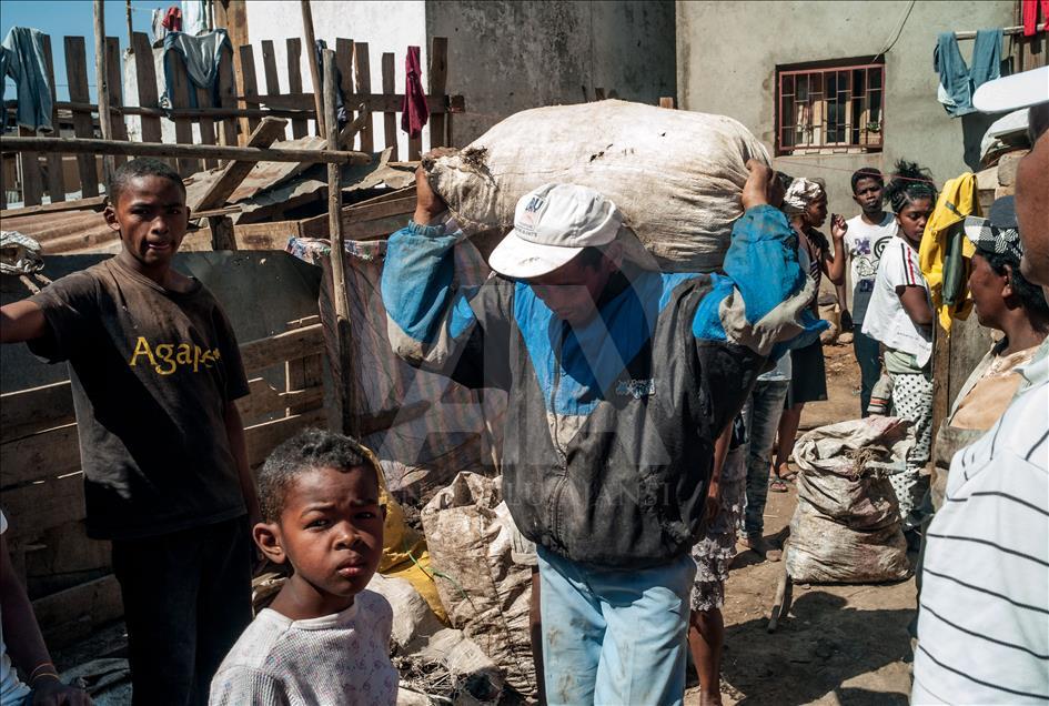 Madagaskar'daki veba salgını
