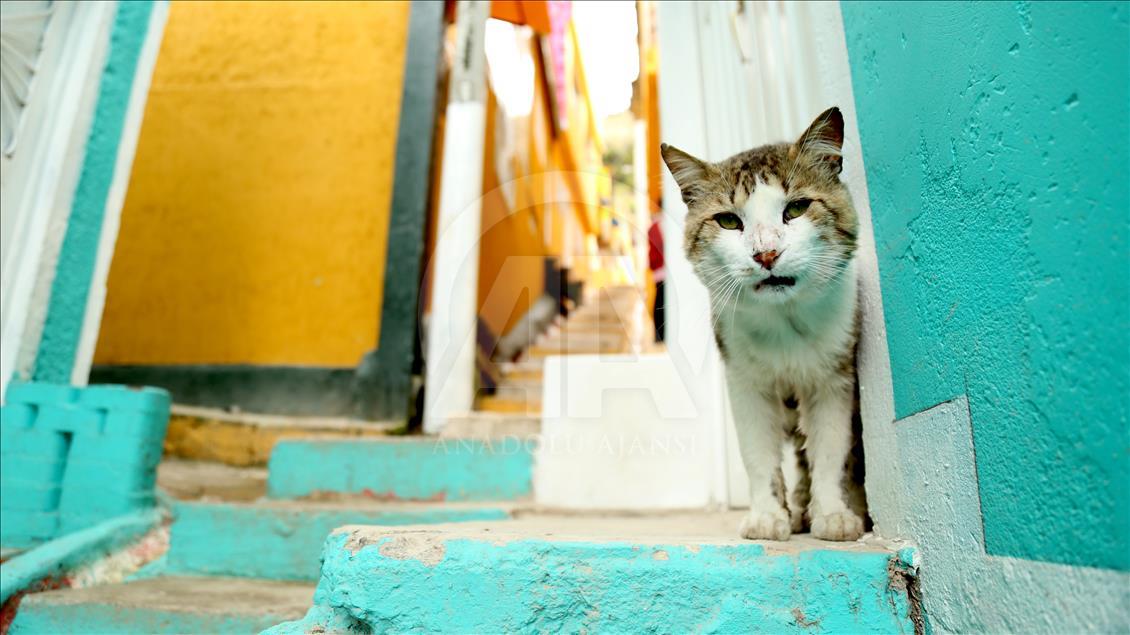 Bogota’daki grafitili mahalle, sakinlerinin gururu oldu