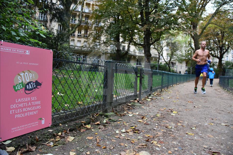 Rat warning placards installed around Eiffel Tower in Paris