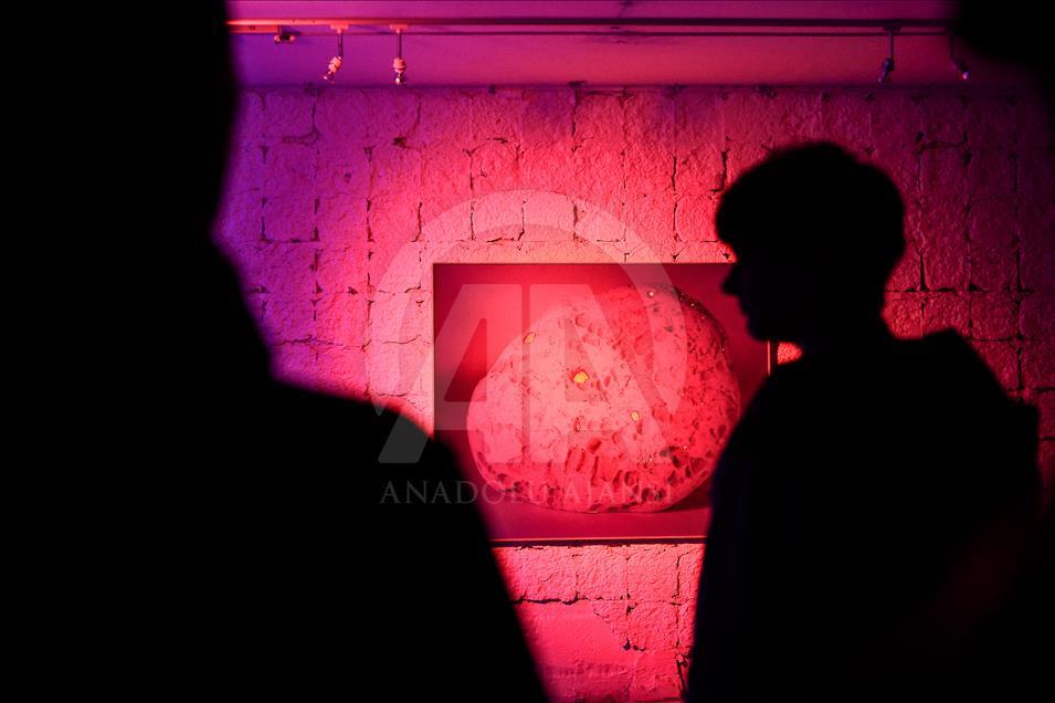 White Night Festival in Bratislava