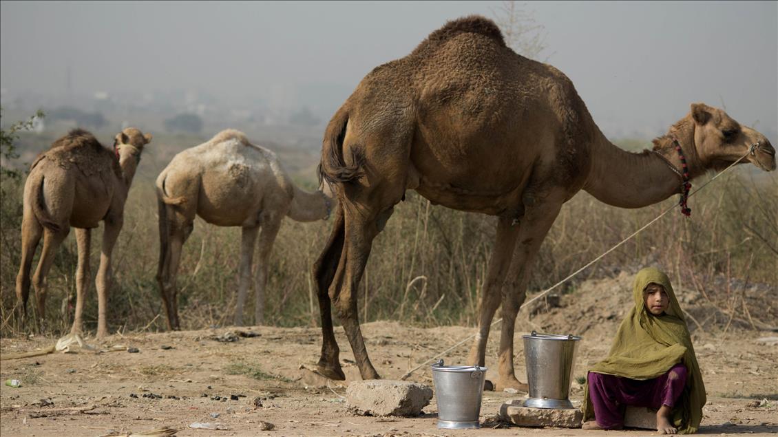 Pakistan'da yoksul kız çocuklarının yaşam mücadelesi