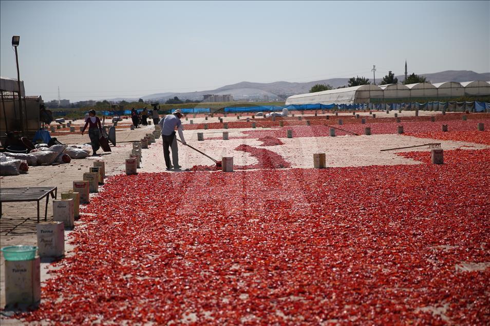 İsotta tanıtım atağı başlıyor