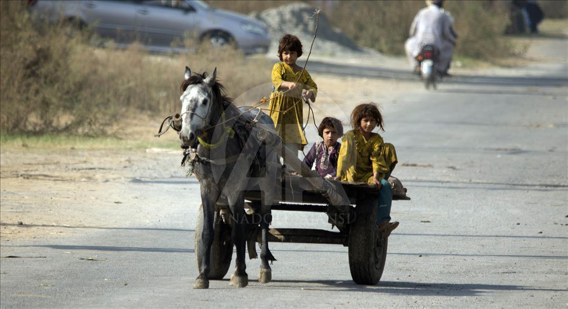Pakistan'da yoksul kız çocuklarının yaşam mücadelesi