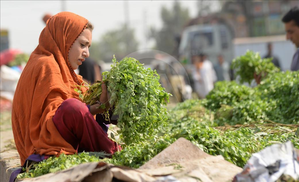 Pakistan'da yoksul kız çocuklarının yaşam mücadelesi