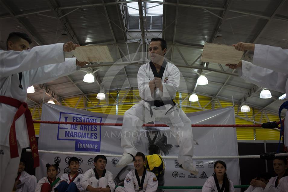 Muestra de artes marciales en SOFA 2017