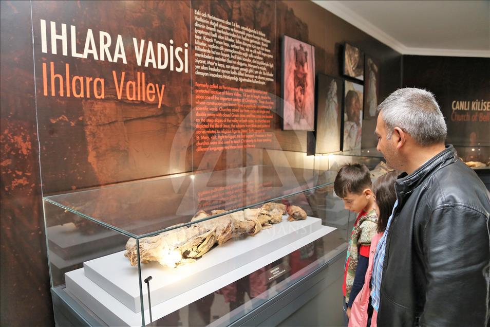 Aksaray'daki mumyalara ziyaretçi ilgisi
