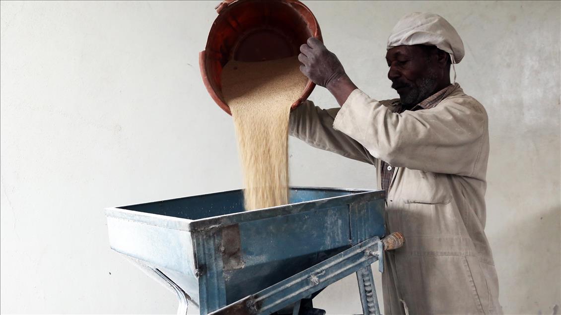 Ethiopia’s 'super grain' seeks to capture global market