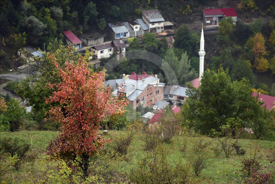Tarihi İpek Yolu'nda sonbahar bir başka güzel