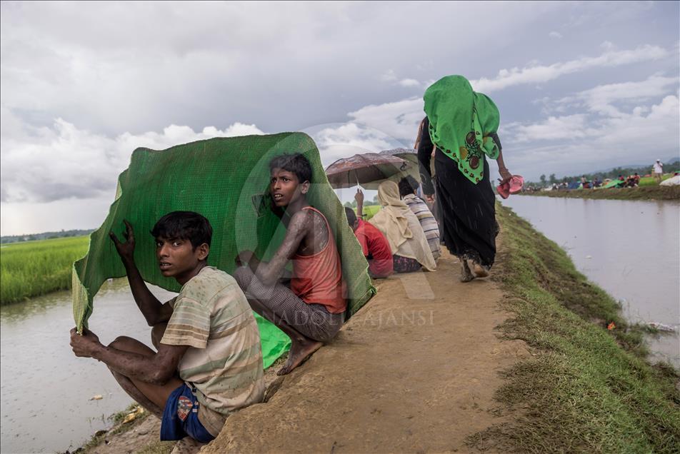 Rohingya migration to Balukhali