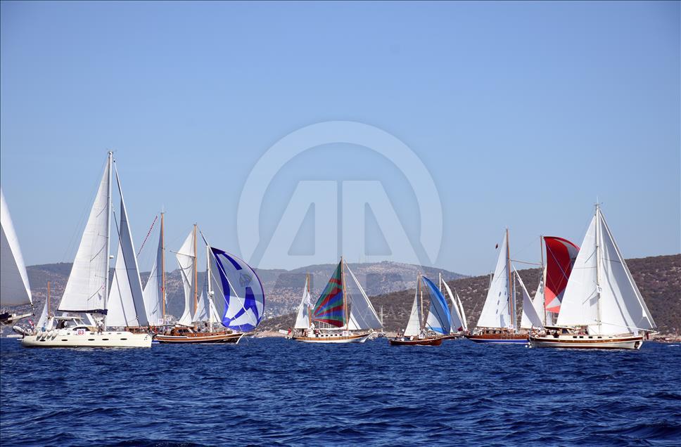 The Bodrum Cup 2017