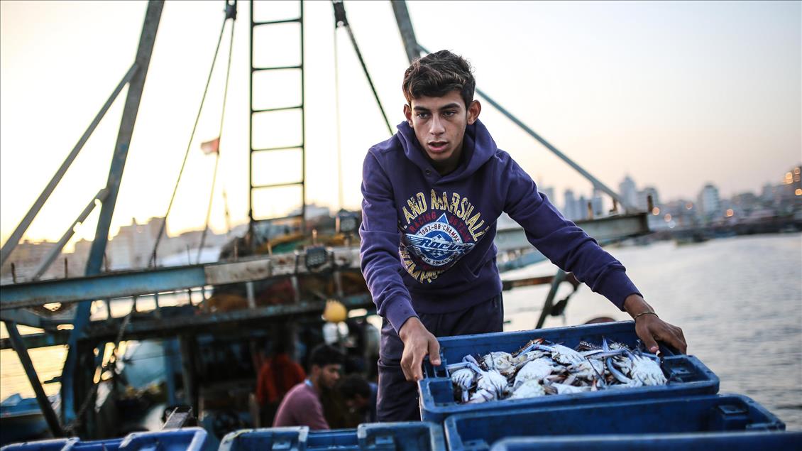 Gazan fishermen set sail after Israel increases fishing range
