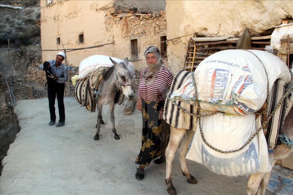 Terk edilen mezranın "tek kalan" sakinleri
 