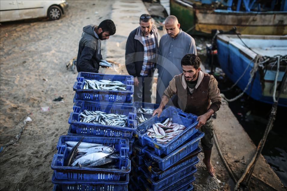 İsrail'in, Gazze'de balık avlama mesafesini artırması