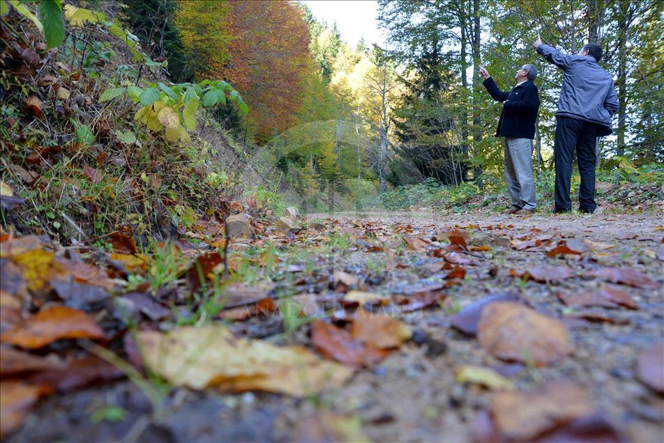 Giresun yaylaları sonbahar renkleriyle cezbediyor