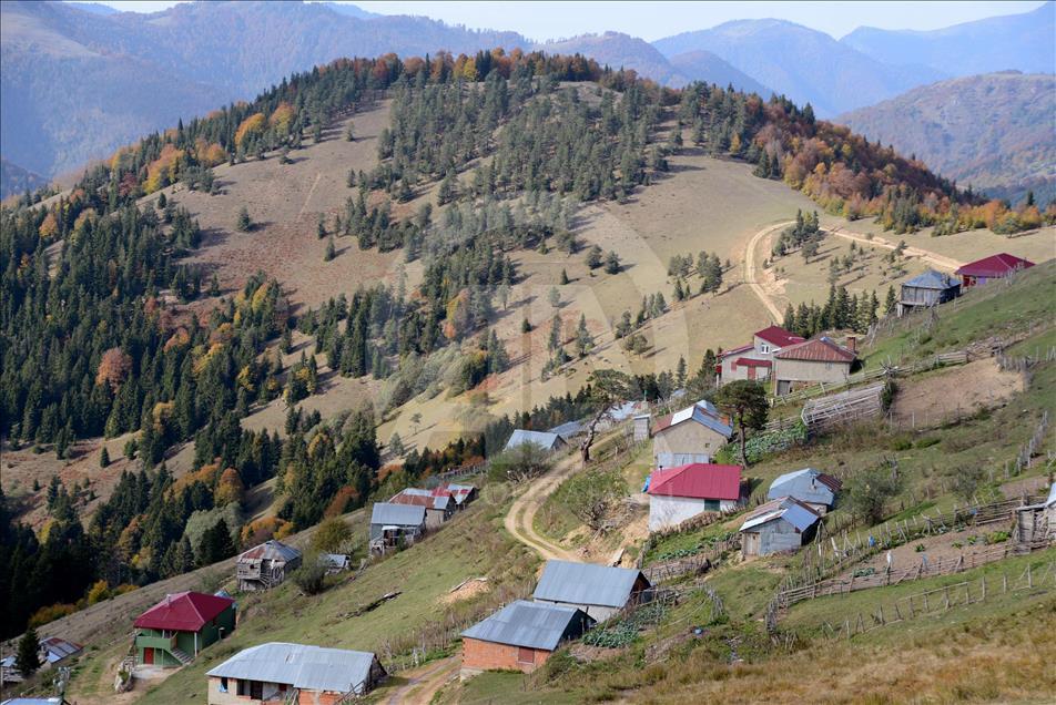 Giresun yaylaları sonbahar renkleriyle cezbediyor