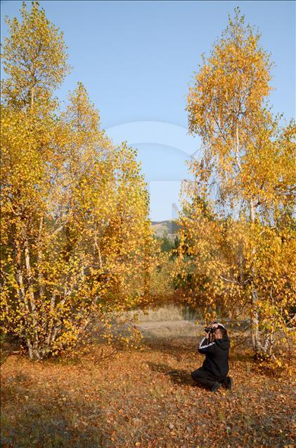 Kars'ta sonbahar