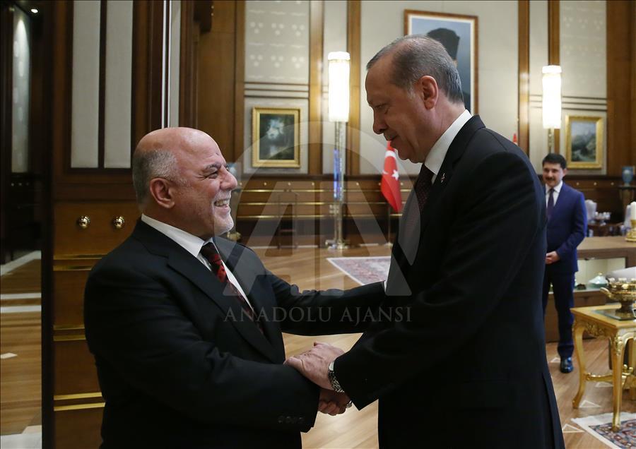 Cumhurbaşkanı Erdoğan'ın kabulü