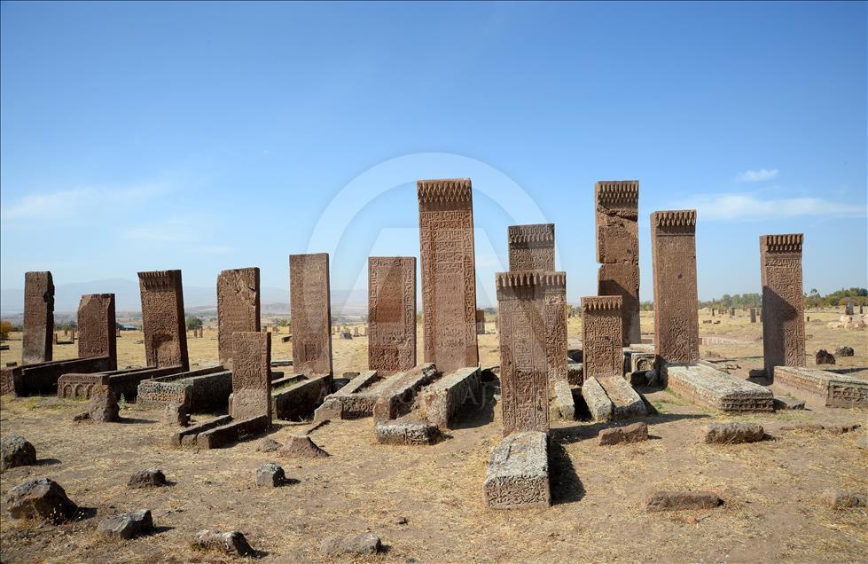 Selçuklu Meydan Mezarlığı, UNESCO yolunda