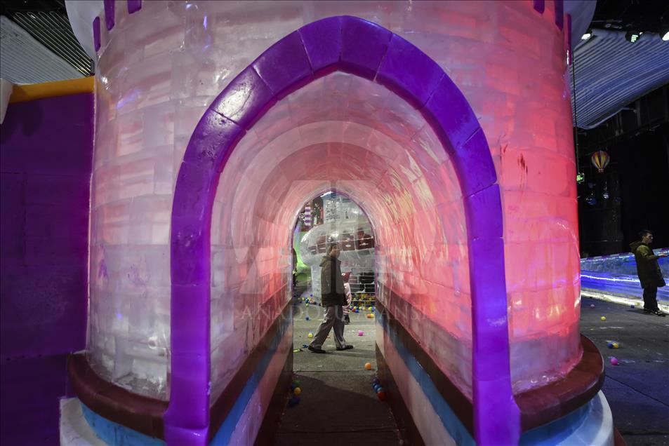 Wuhan'daki "Buz Krallığı"