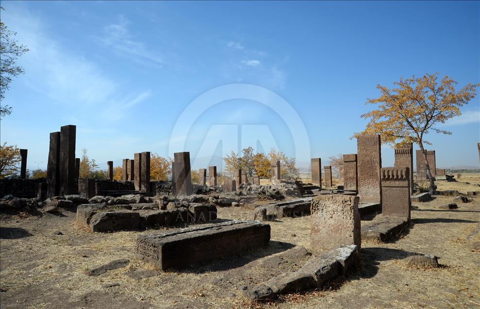Selçuklu Meydan Mezarlığı, UNESCO yolunda