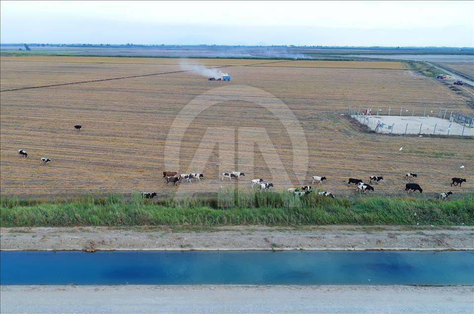 Çukurova'ya can veren su kanalları