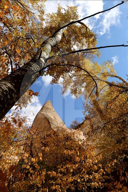 Sarının tonları Kapadokya'yı sardı
