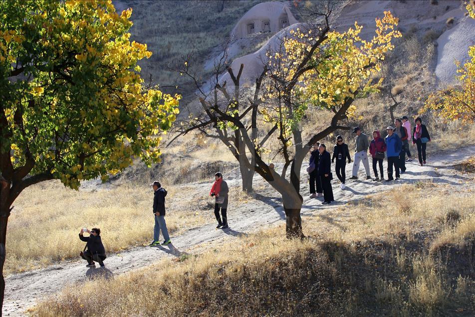 Sarının tonları Kapadokya'yı sardı