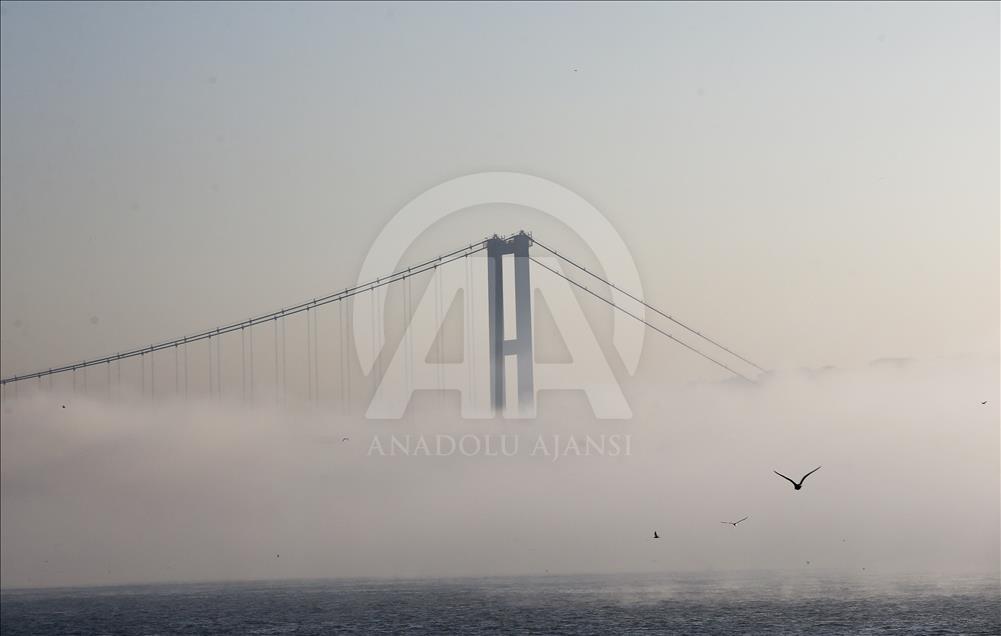 İstanbul'da Sis