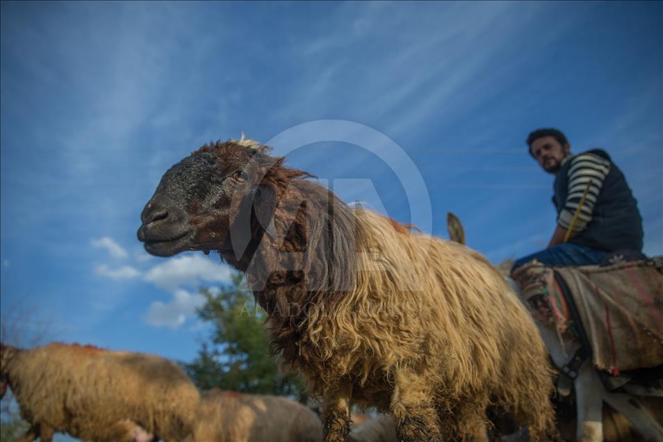 Şanlıurfa'da sonbahar