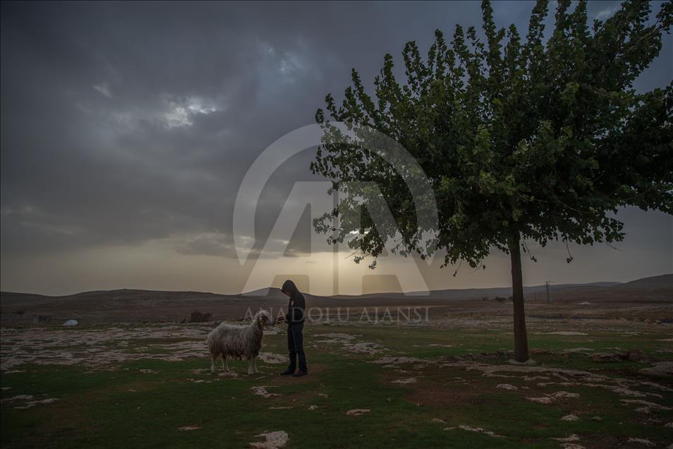 Şanlıurfa'da sonbahar