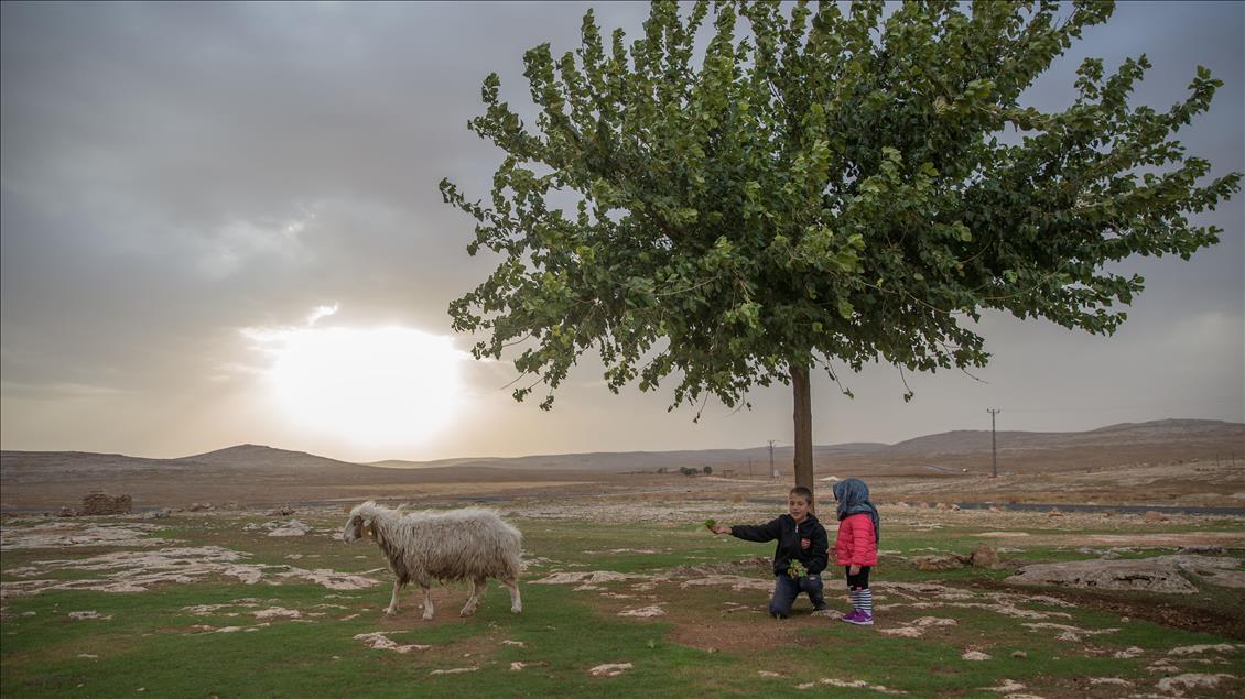 Şanlıurfa'da sonbahar
