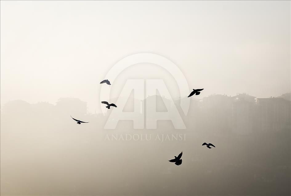Heavy mist hits Turkey's capital