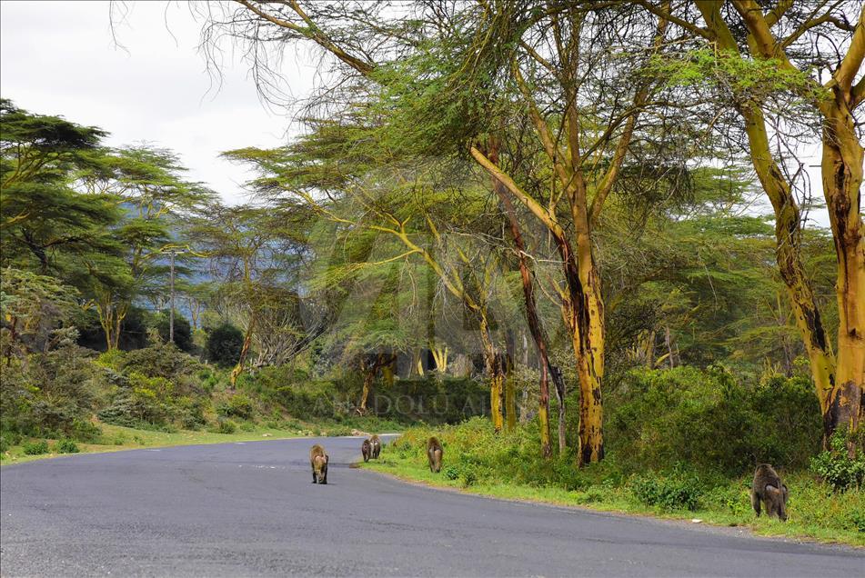 "Vrata pakla" u Keniji jedna su od najatraktivnijih turističkih destinacija svijeta 