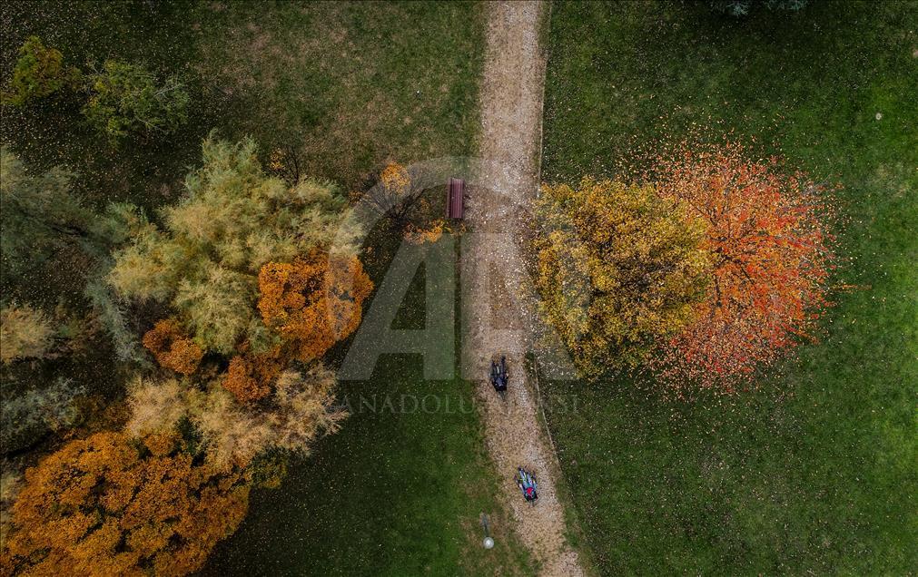 Colors of autumn in Bursa Botanical Park