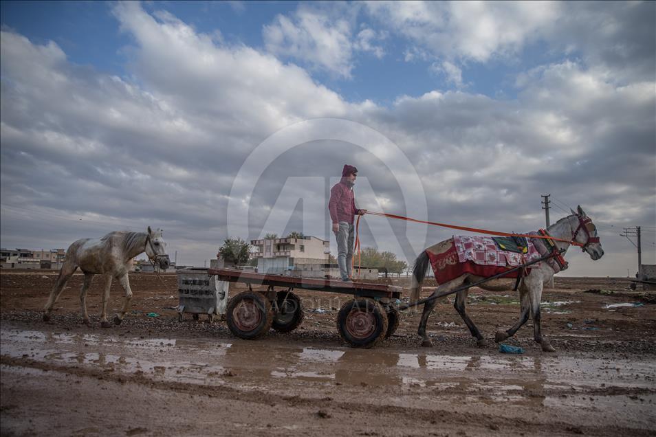 İki at bir araba