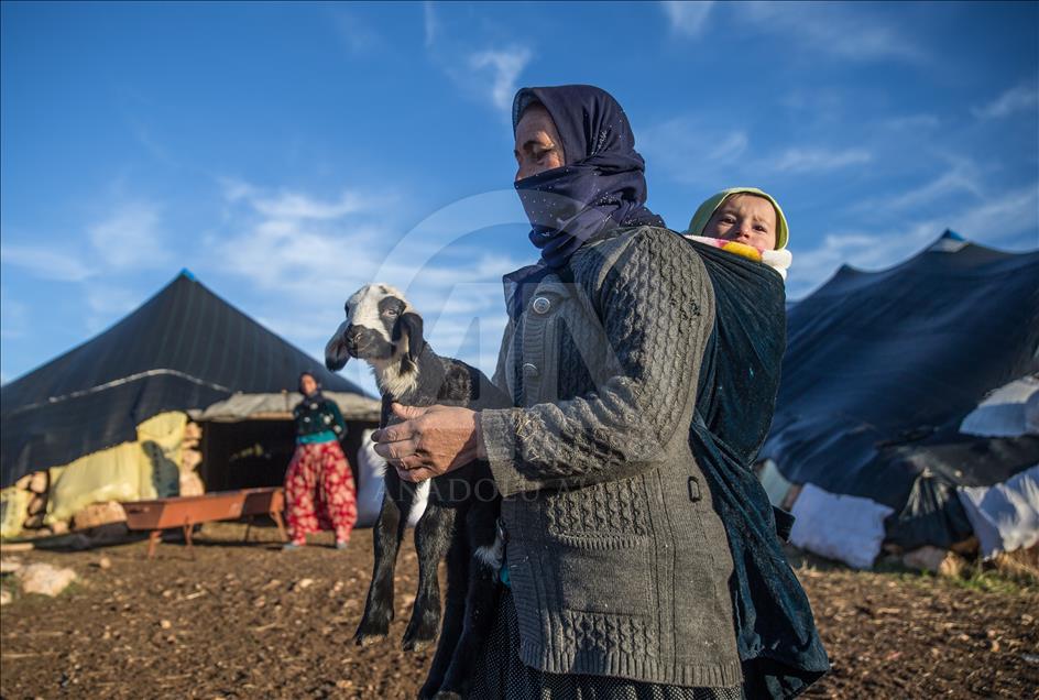 Nomads' preparations for tough winter season in Turkey's Sanliurfa