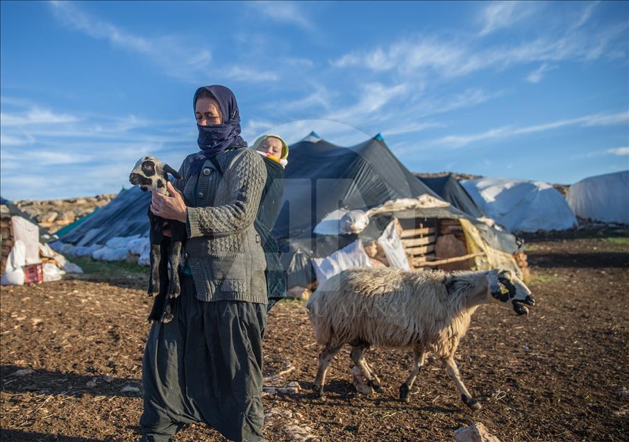 Nomads' preparations for tough winter season in Turkey's Sanliurfa