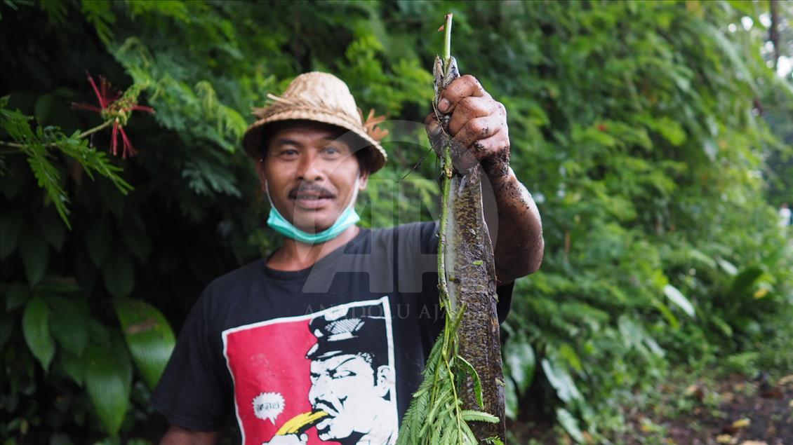 Lava dingin dari Gunung Agung mengalir ke sungai