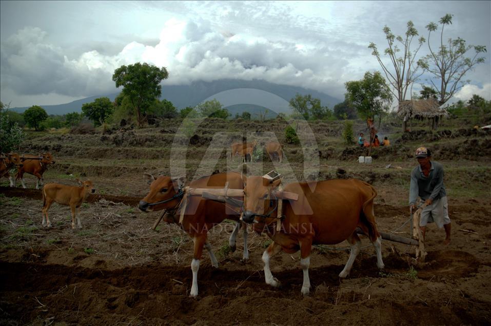 Vulkan Agung na indonezijskom ostrvu Bali izbacuje pepeo i dim