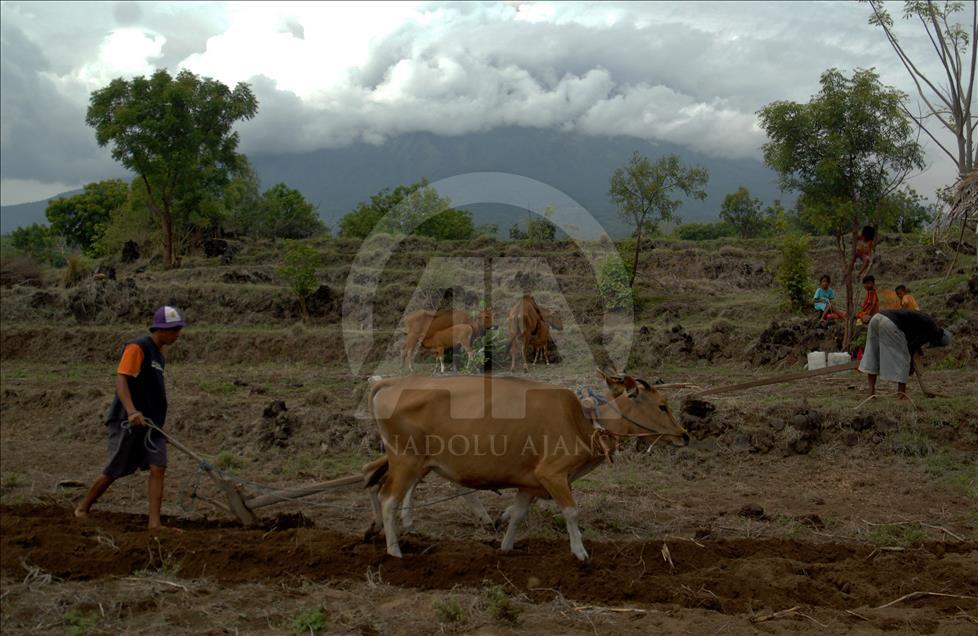 Vulkan Agung na indonezijskom ostrvu Bali izbacuje pepeo i dim